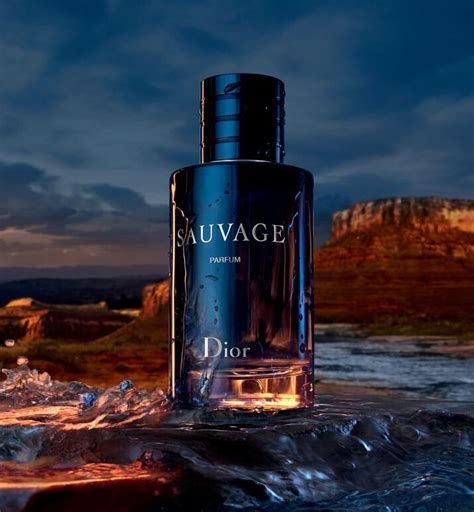 sauvage dior best price